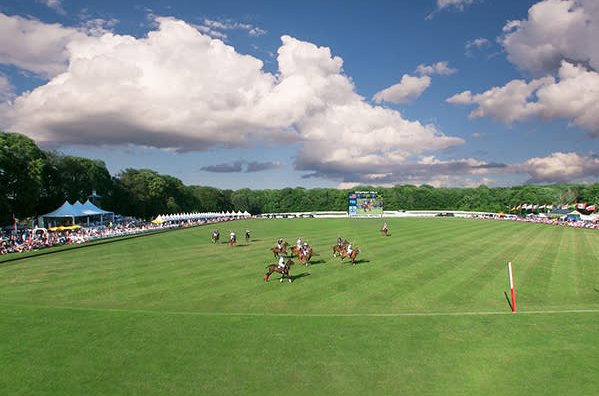 newport international polo